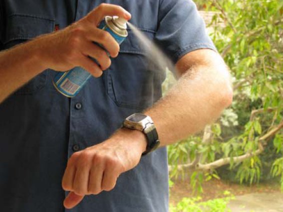 Use insect repellent